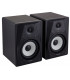 TASCAM VL-S5 AMPLIFIED STUDIO MONITOR