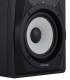 TASCAM VL-S5 AMPLIFIED STUDIO MONITOR