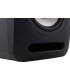 Monitor de estudio activo TANNOY REVEAL 502