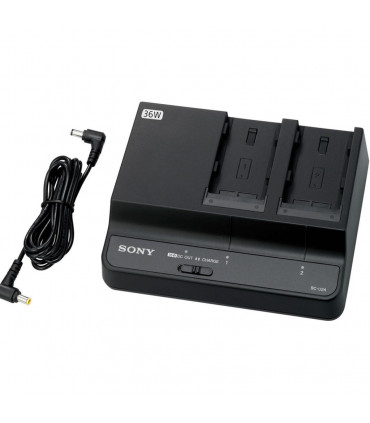Sony Caricabatteria BC-U2A