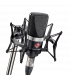 Microphone Neumann TLM 102